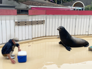 桂浜水族館