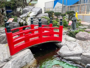 桂浜水族館