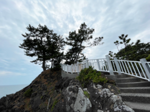 龍王岬