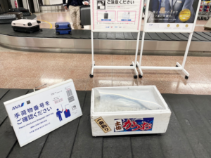 高知空港