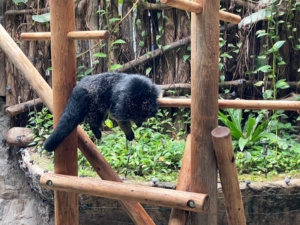 のいち動物公園