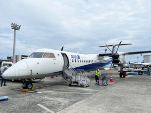 ANA飛行機