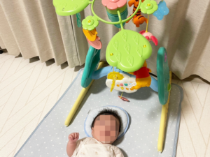 プーメリー