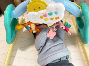 プーメリー