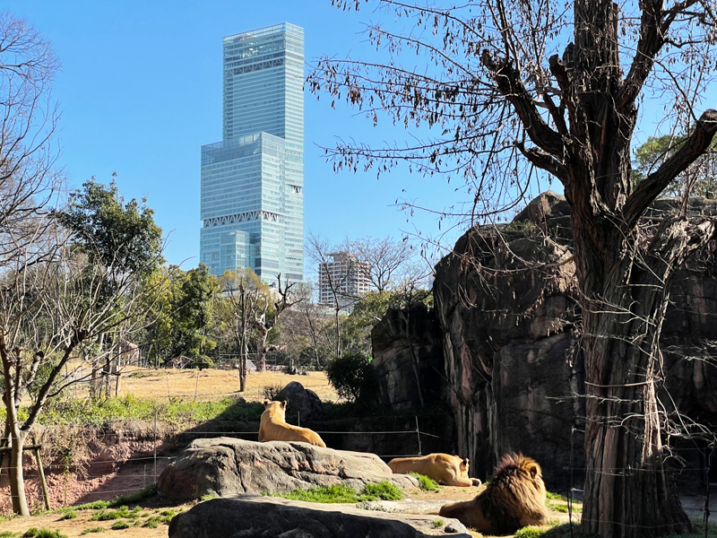 天王寺動物園