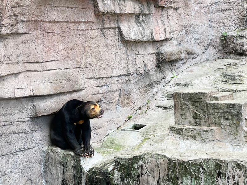 天王寺動物園