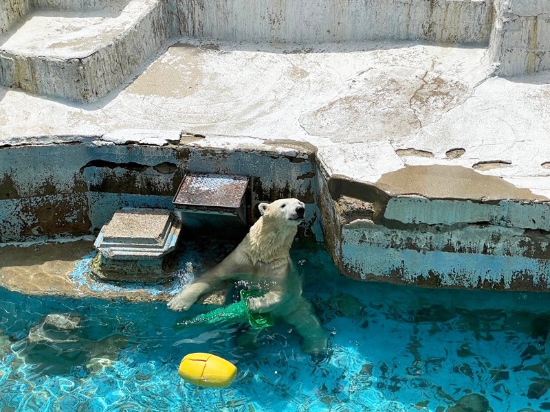 天王寺動物園