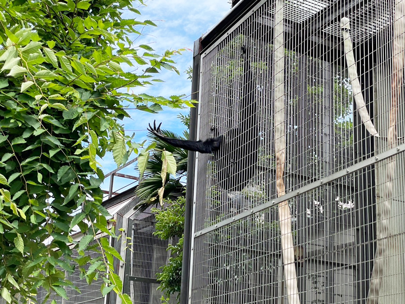 天王寺動物園