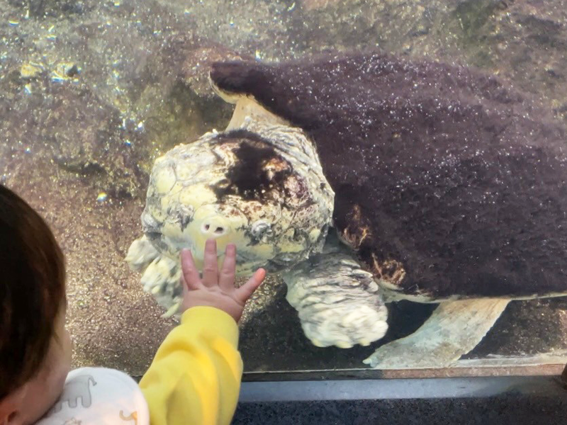 天王寺動物園