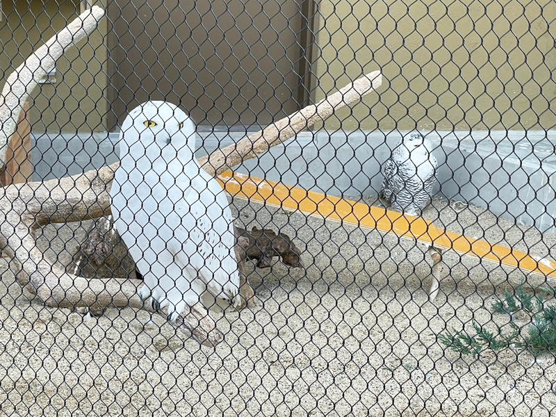 天王寺動物園