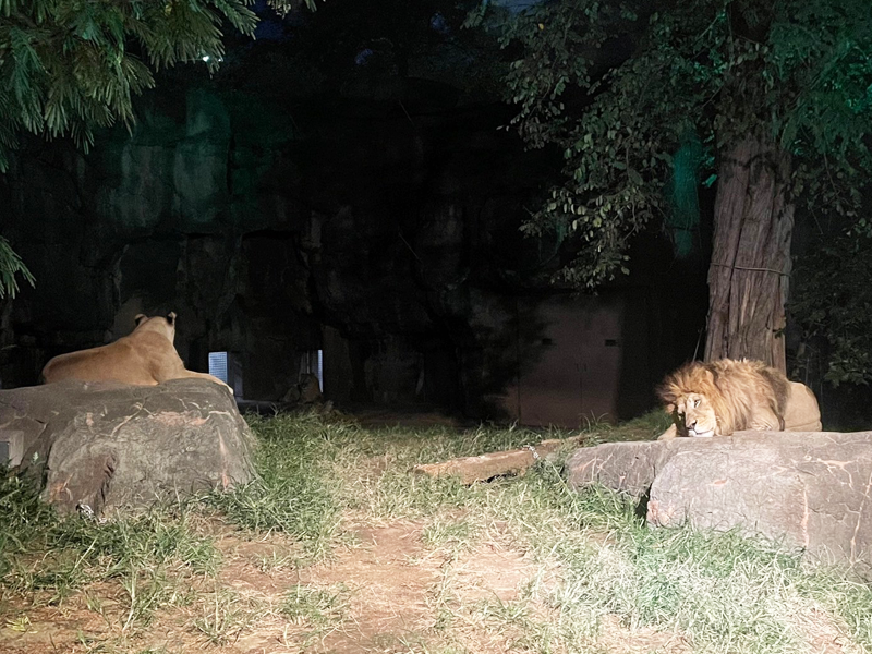 天王寺動物園