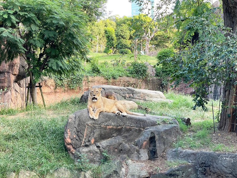 天王寺動物園