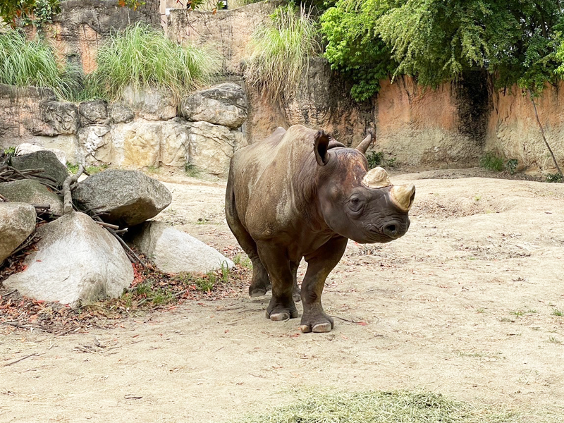 天王寺動物園