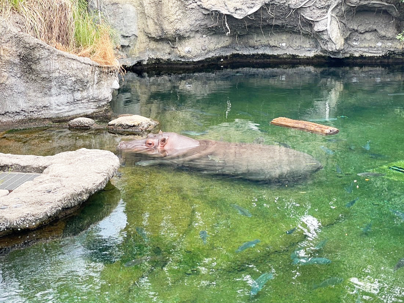 天王寺動物園