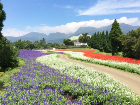 【2025年版】大分県の自然・絶景スポット20選|地元民おすすめの穴場も紹介! | kaihayate-blog