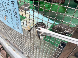 桂浜水族館