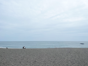 桂浜