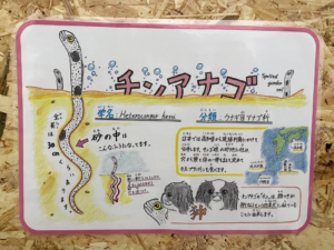 桂浜水族館