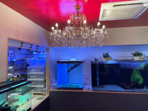 桂浜水族館