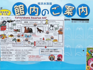 桂浜水族館
