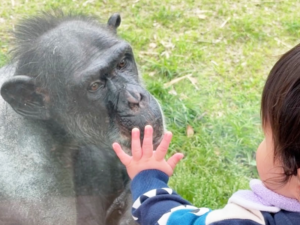 のいち動物公園
