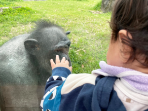 のいち動物公園