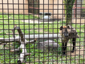 のいち動物公園
