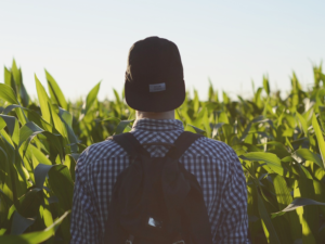 リュックを背負っている人