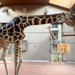 天王寺動物園