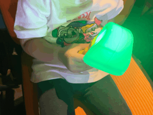 おかあさんといっしょファミリーコンサート