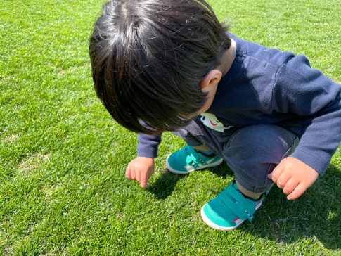 芝生で遊ぶ長男