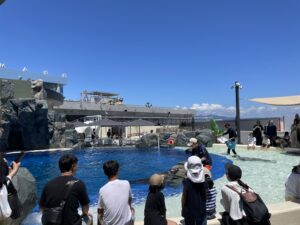 あそびーち